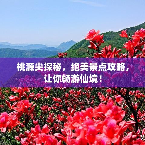 桃源尖探秘,绝美景点攻略,让你畅游仙境!