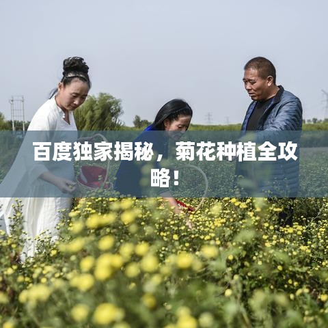 轻飞曼舞 第2页
