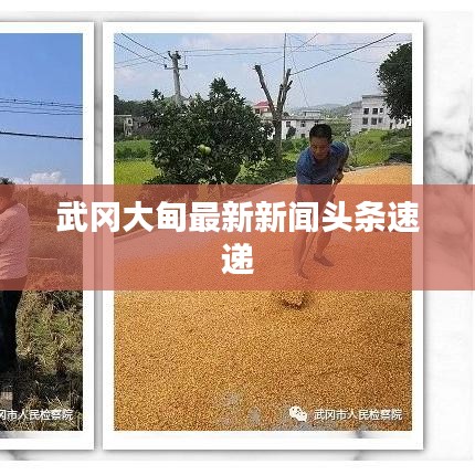 急就章 第2页