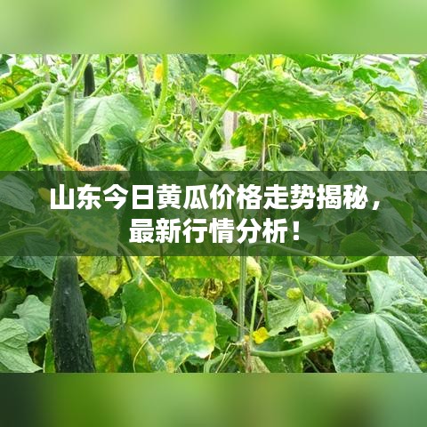 尘土飞扬 第2页