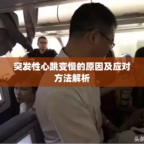 五侯七贵 第2页