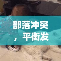 产品中心 第14页
