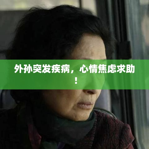 检测设备 第15页