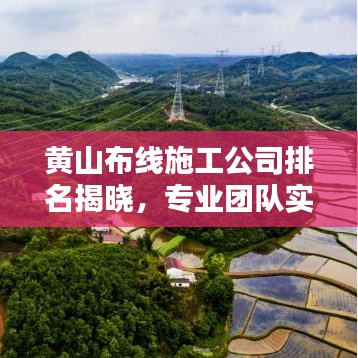 荣誉证书 第15页