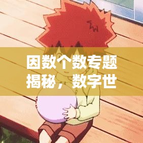 因数个数专题揭秘，数字世界的奥秘探索