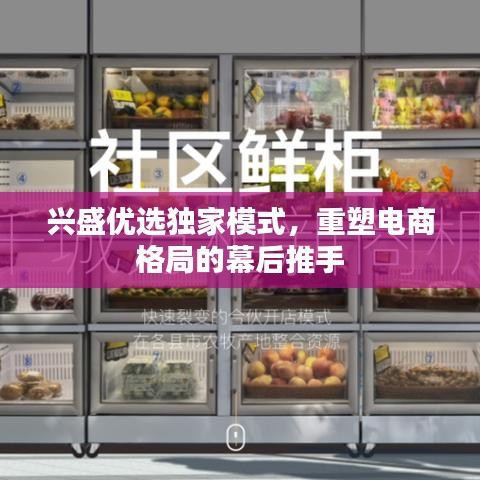 兴盛优选独家模式，重塑电商格局的幕后推手