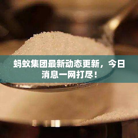 喷涂车间 第13页