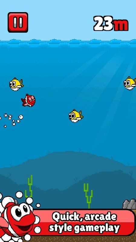 fish官方 下载,实践策略设计-限量版_v1.540
