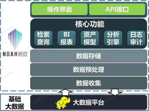 皮猴最新版本下载,数据驱动计划解析-10DM1_v6.494