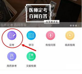 砖题库官方下载,实地考察数据应用-Holo_v10.502