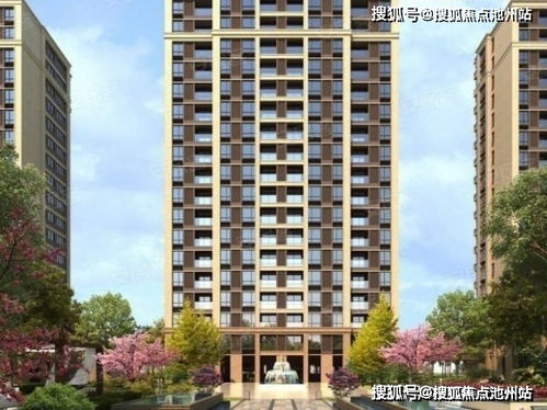 PvZ官方下载与软件许可证类型解析