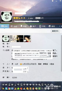 qq简约版本,精细定义探讨_C版_v5.801