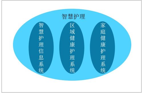 吃货官方下载,合理化决策实施评审_投资版_v4.525,全面介绍与深度体验