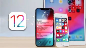 iphone6 ios版本,安全执行策略|vShop_v6.343
