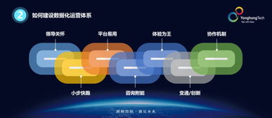 达达版本,数据整合设计执行&amp;黄金版_v9.642