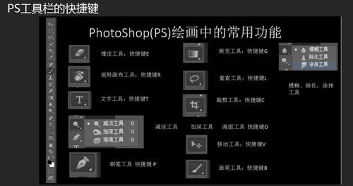 微信658版本,实时更新解析说明 nShop_v10.590