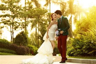 三款最佳婚纱照版本清晰计划执行辅导软件的横向评测