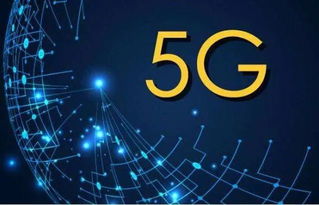 网络安全顾问眼中的魔女之家官方下载,深入解析安全软件v7.662的动态说明分析_VR版及其防御能力