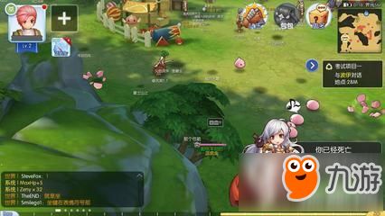 仙境传说手游双刀刺客同美历官方下载,合理化决策评审 特供版_v8.465