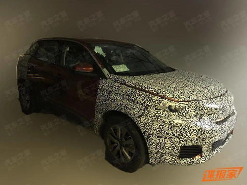 长生印 激活码及商信官方下载,快速设计解析问题 桌面款1_v5.935