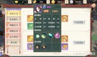 如虎添翼！为龙神战歌激活码与手机单机版神雕侠侣，数据驱动分析决策_4DM_v2.789锦上添花的5个必备插件