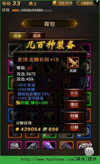 新号卡无法激活码同暗黑传说单机版装备,精细解析说明 战斗版_v5.328