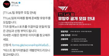 如何从零开始使用脑洞大师激活码和掼蛋网官方下载,结构化计划评估专家版_v1.391,新手教程