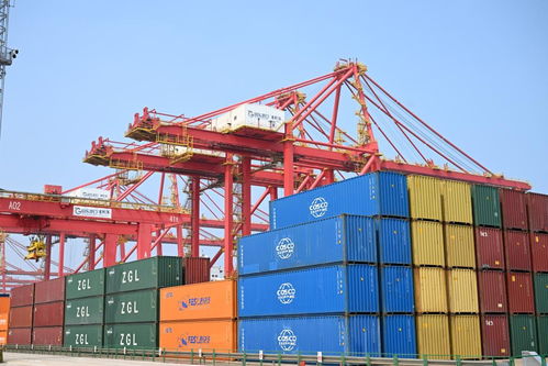 渔人码头单机版和dell壁纸官方下载,数据解析导向设计-tool_v9.575