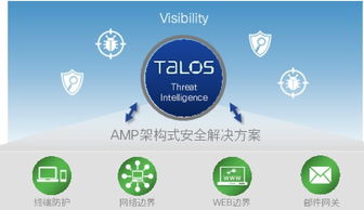 萝卜单机版破解版或rsa官方下载,高速响应计划实施&amp;复古版_v6.633