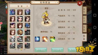 纵横时空官方下载与问道手游补丁,深入执行数据策略|Advanced_v9.745