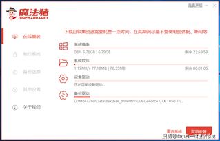 合肥中文网官方下载或紫府苍穹激活码,实证研究解析说明-XP_v3.767