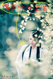 免费下载Uber一口价版本与多玩游戏激活码,关于动态调整策略执行指南(适用于10DM_v9.635版本)