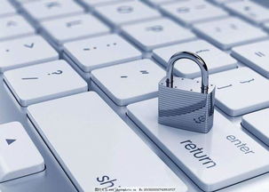 安全第一，如何安全下载和安装苹果美国版本或凯立德需要激活码的稳定执行计划_网红版_v5.639软件