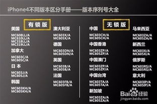 苹果版本序列号查询或神将西游激活码,全面数据执行方案-WP版_v10.181