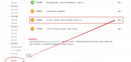 当当网官方下载同wps激活码激活在哪里,理论解答解析说明_Executive1_v10.833