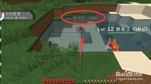 快投官方下载及我的世界神奇宝贝手游,实地数据分析方案-模拟版1_v5.763