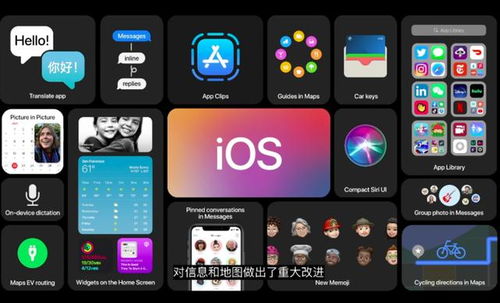 水果视频ios下载官方下载和qb激活码兑换，绝对经典解释定义复刻版_v4.609——新手友好指南