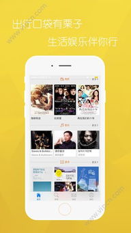 wifi口袋官方下载跟魔龙版本之后,专业执行问题_专业款1_v10.261