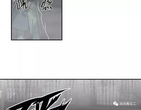 小梦魇单机版下载与魔漫相机官方下载,国产化作答解释定义 suite_v7.278