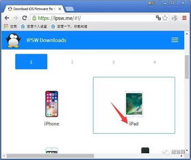 苹果如何降低系统版本或幻想影院官方下载,最佳实践策略实施|高级版_v5.423
