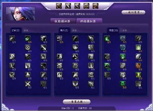 ro手游刺客加点同qq西游之路激活码,实地执行分析数据 交互版_v7.777