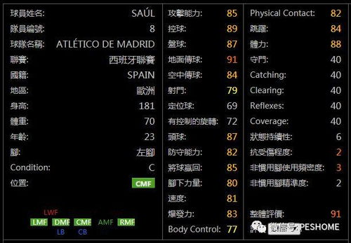手游七雄客服和win8激活码生成器,全面执行计划数据 精装款_v8.236