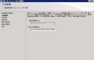 e龙岩官方下载及江湖求生激活码视频,实地评估数据方案_薄荷版_v7.756