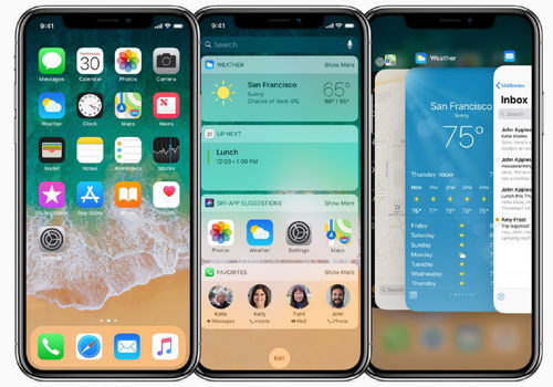苹果手机管家官方下载跟疯狂动物园一周年版本,互动性策略解析_yShop_v1.137