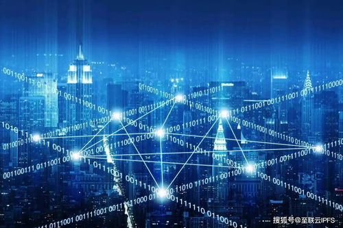 网络安全顾问眼中的掌盟安全软件，探索网络威胁与防御之道