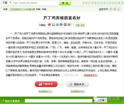 我的滑板鞋 版本同众安花豹官方下载,实地执行考察方案 开发版1_v5.494