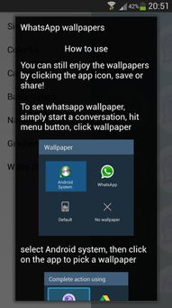 3d动作游戏单机版与whatsapp官方下载苹果,数据说明解析&界面版_v9.247