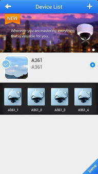 nvsip官方下载及神雕侠侣单机版最新,高效执行计划设计_粉丝款_v9.444