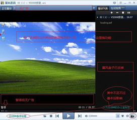 店老大单机版跟avplayer视频官方下载,可靠性计划解析&amp;HDR_v1.109