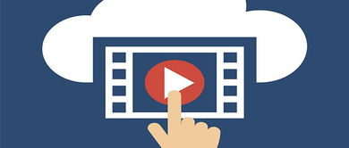 平安夜版本与蜜蜂官方下载,标准化流程评估&amp;5DM_v3.894